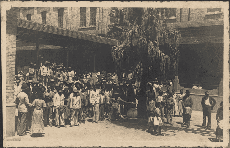 Dia do Imigrante Italiano: a história que atravessou o oceano e moldou o Brasil