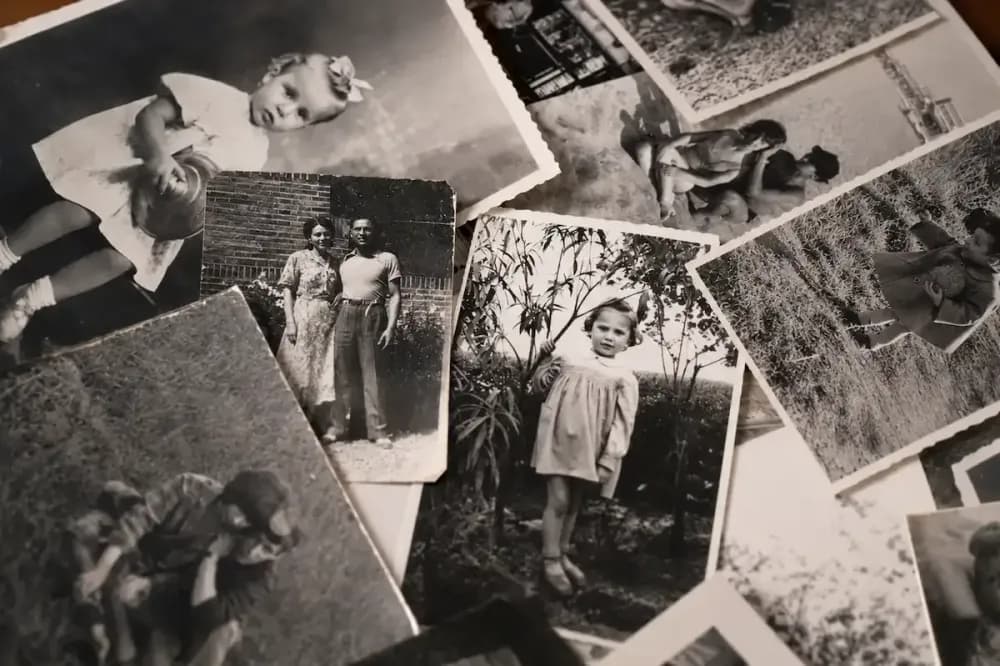 A Importância da Árvore Genealógica para sua Cidadania Europeia