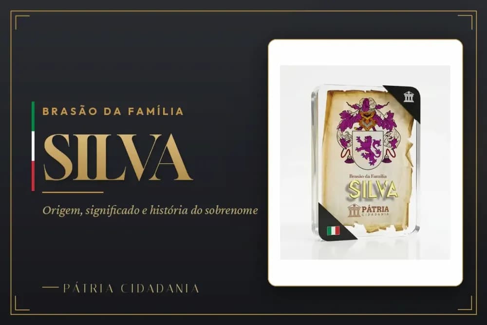 Brasão da Família Silva A Fascinante História e Significado