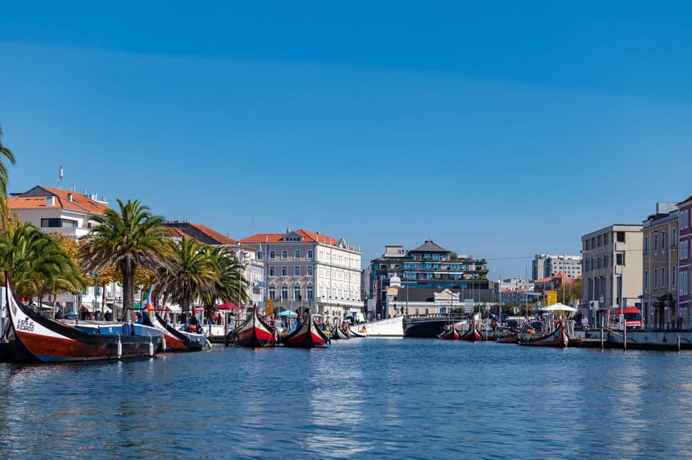Desvende Aveiro: o que fazer na Veneza portuguesa
