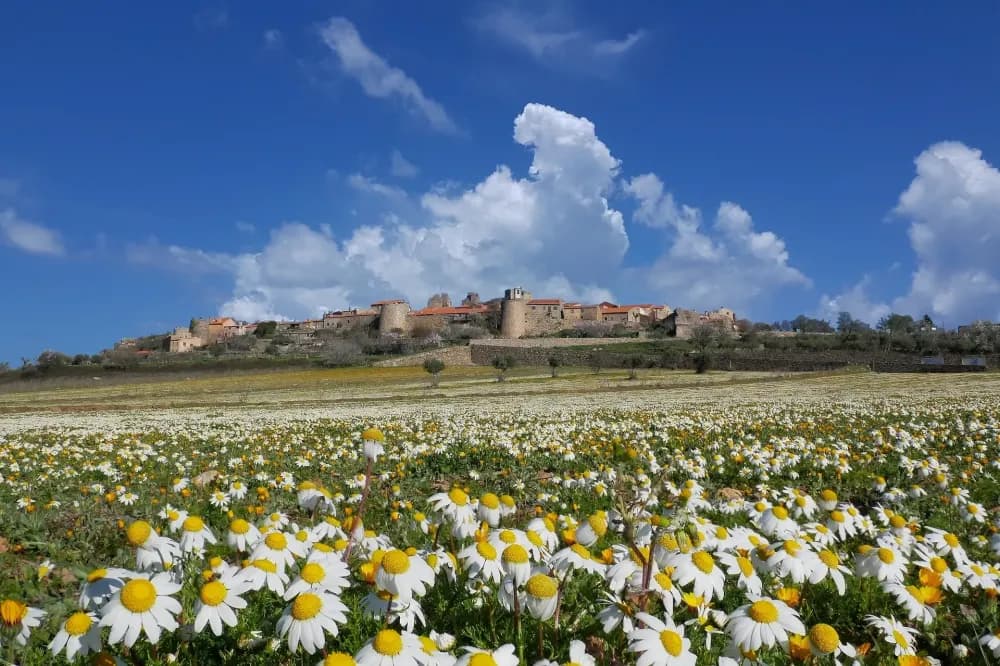 Conheça as 12 aldeias históricas de Portugal: de Almeida a Trancoso