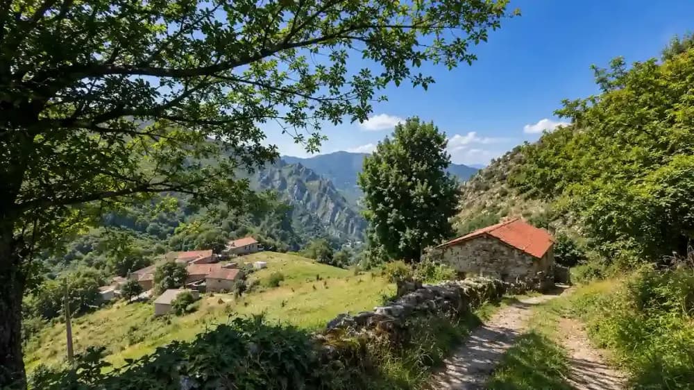 Origem do Sobrenome Miranda História, Significado e Lei nº 911992