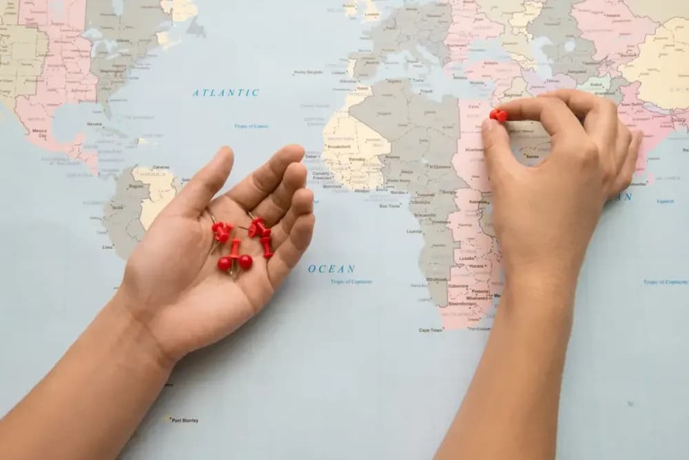 Origem do Sobrenome Vieira História e Significado