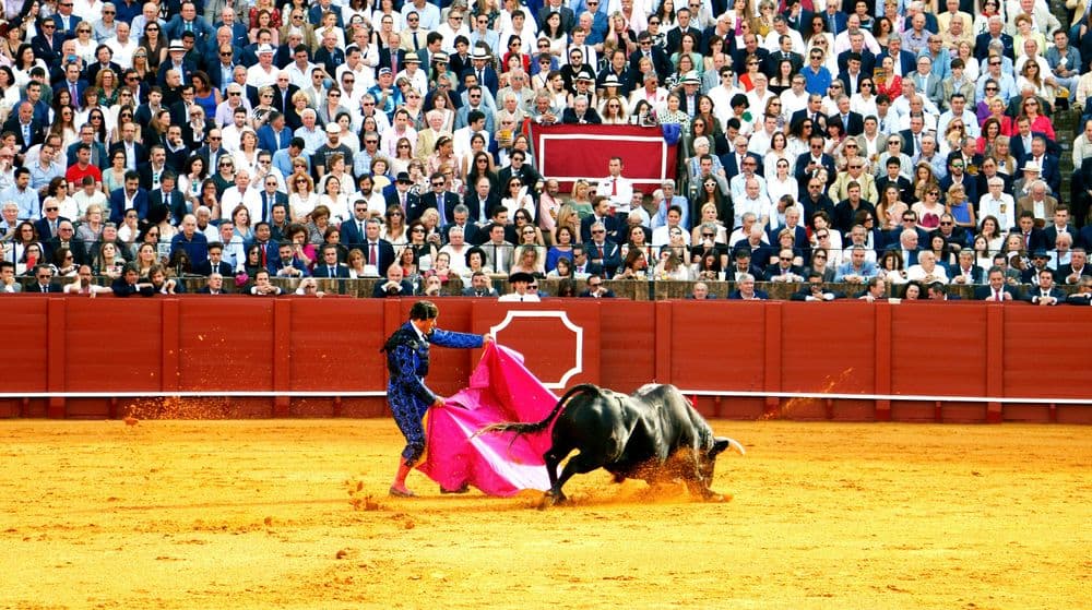 História das touradas: surgimento e polêmicas