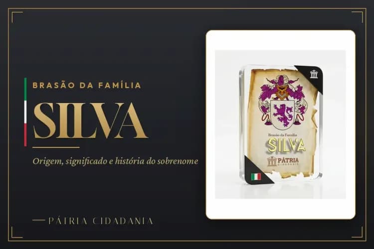 Brasão da Família Silva A Fascinante História e Significado