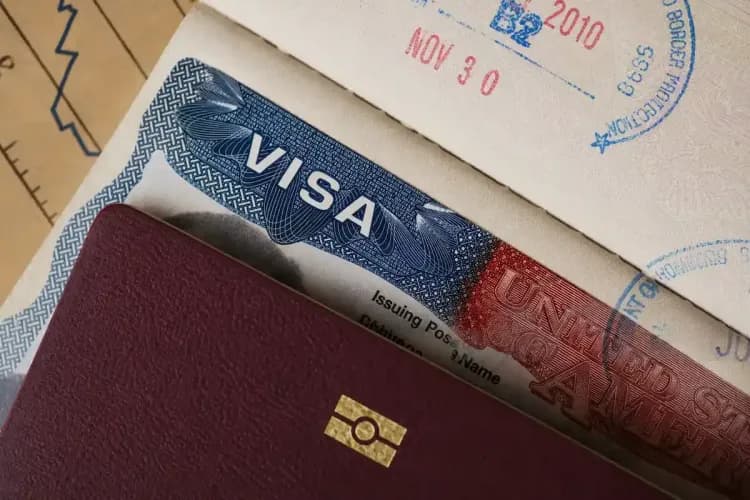 Certidão negativa de naturalização etapas reais, documentos e orientações para uso em processos de cidadania europeia