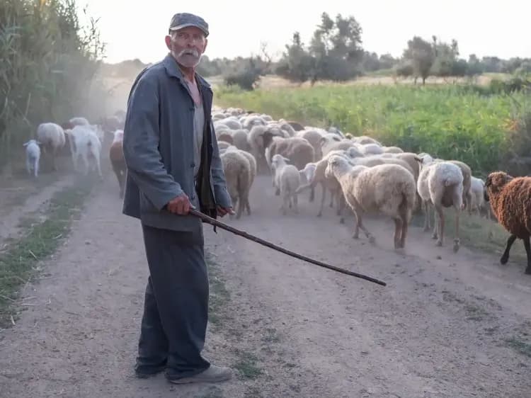 Descubra a Origem do Sobrenome Bezerra e Suas Conexões Europeias