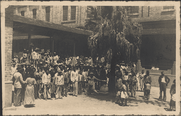 Dia do Imigrante Italiano: a história que atravessou o oceano e moldou o Brasil